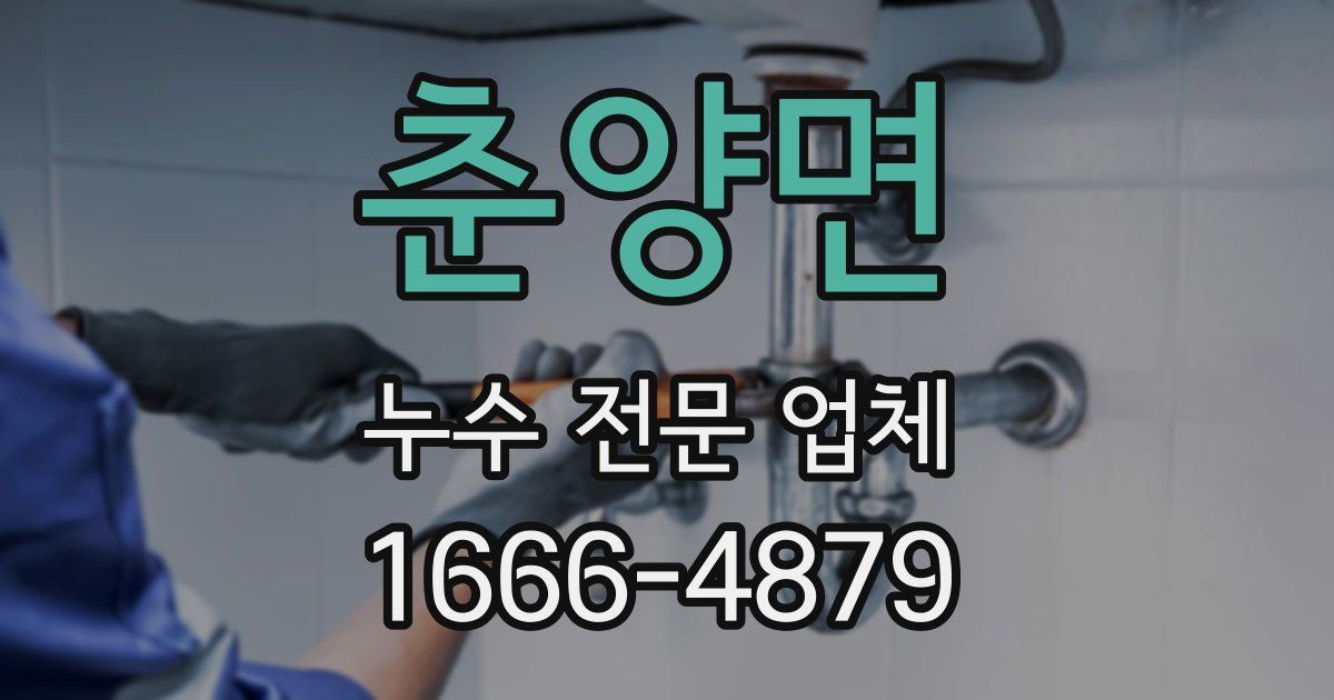 춘양면 누수 전문 업체