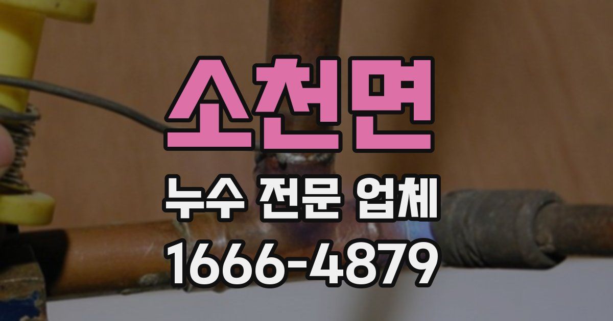 소천면 누수 전문 업체