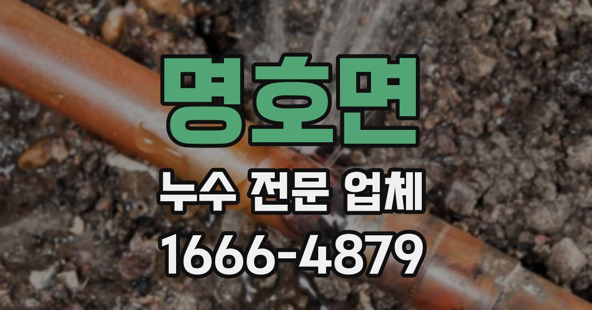 명호면 누수 전문 업체