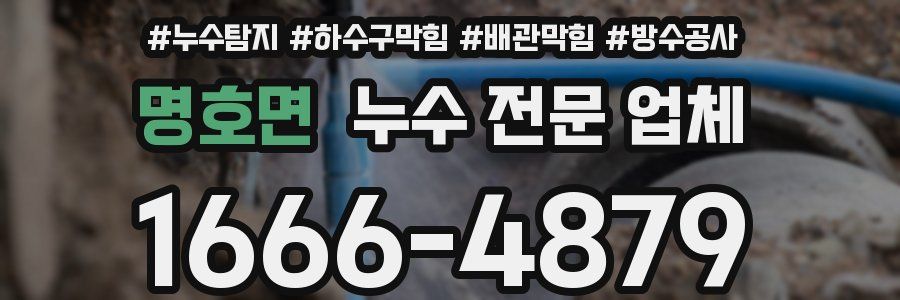 명호면 누수 전문 업체