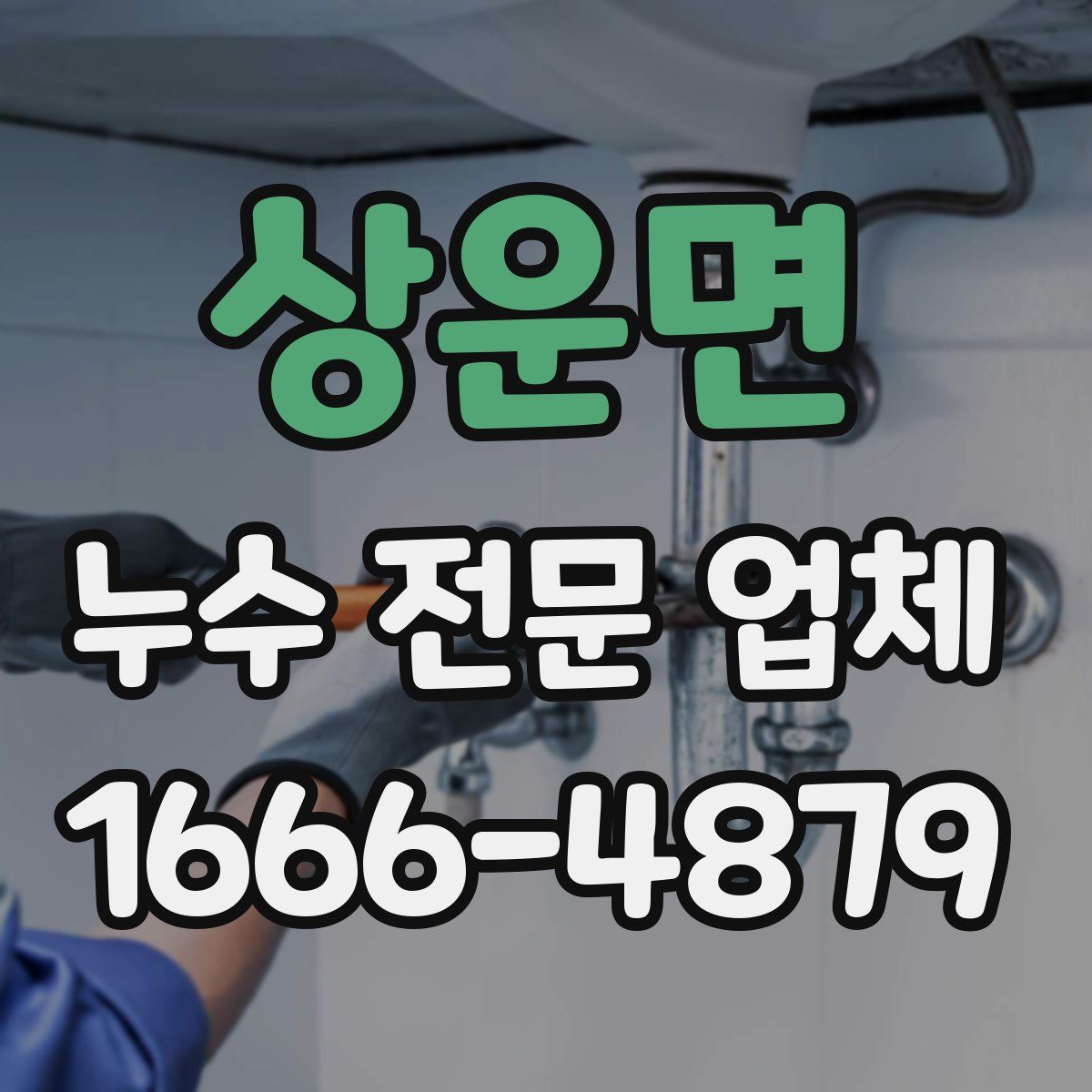 상운면 누수 전문 업체