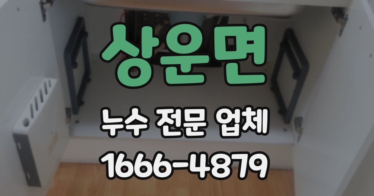 상운면 누수 전문 업체