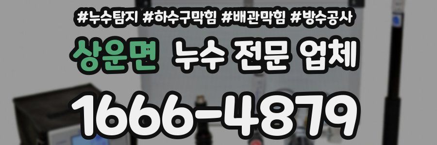 상운면 누수 전문 업체
