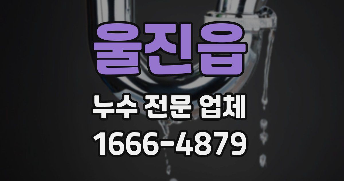 울진읍 누수 전문 업체