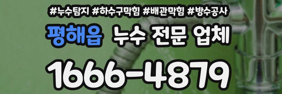 평해읍 누수 전문 업체