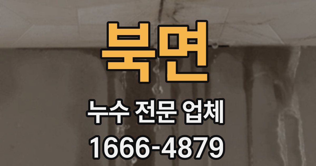 북면 누수 전문 업체