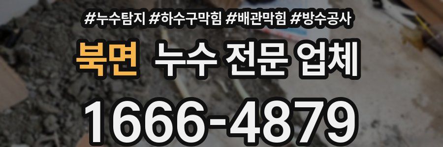 북면 누수 전문 업체
