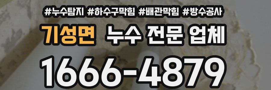 기성면 누수 전문 업체