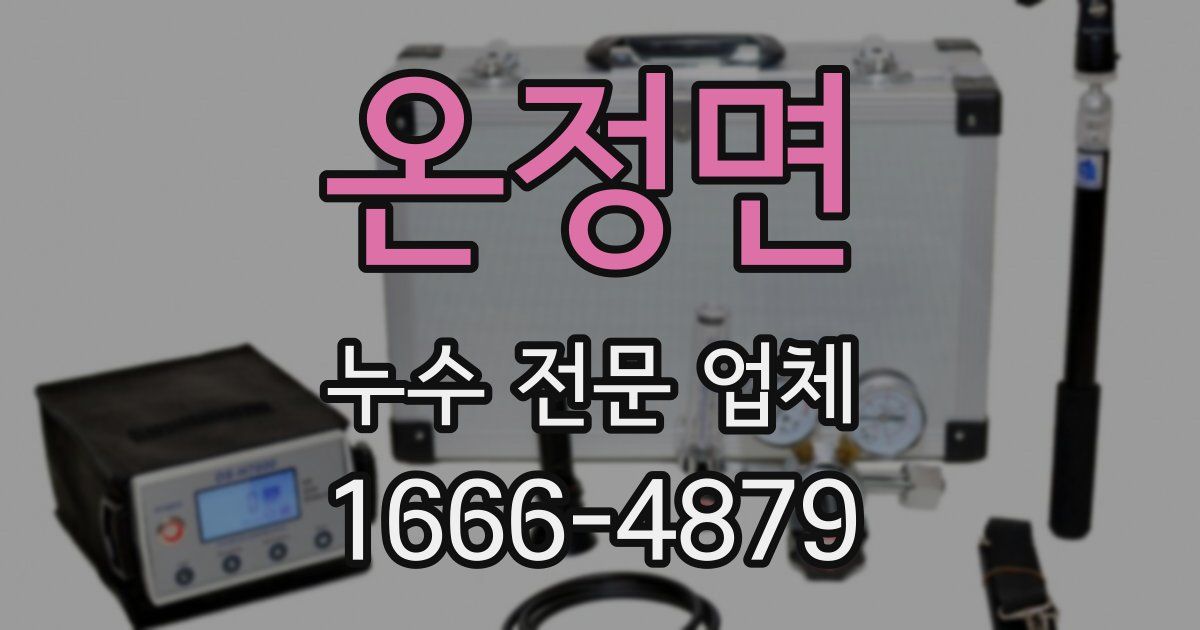 온정면 누수 전문 업체