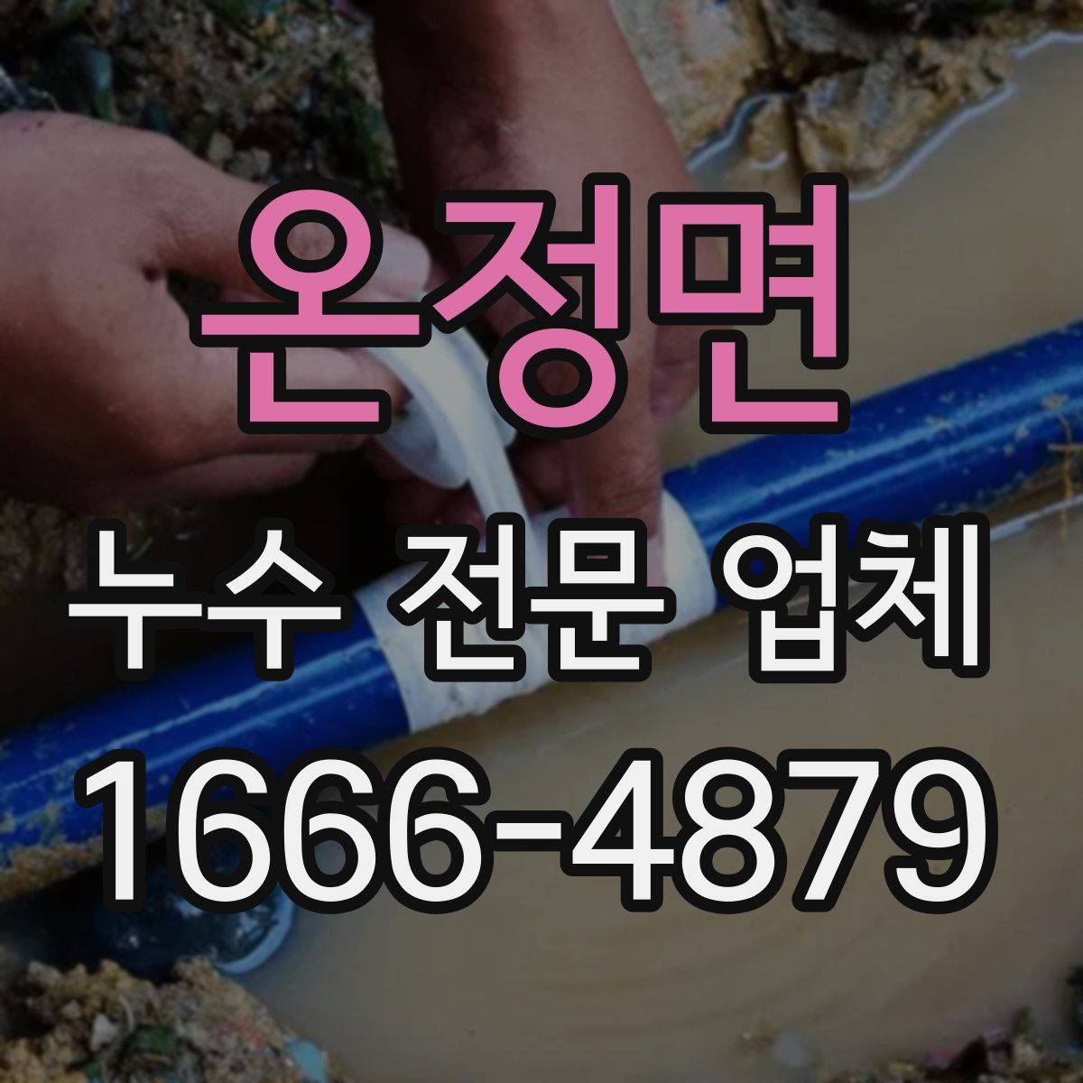 온정면 누수 전문 업체