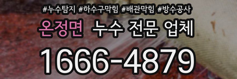 온정면 누수 전문 업체