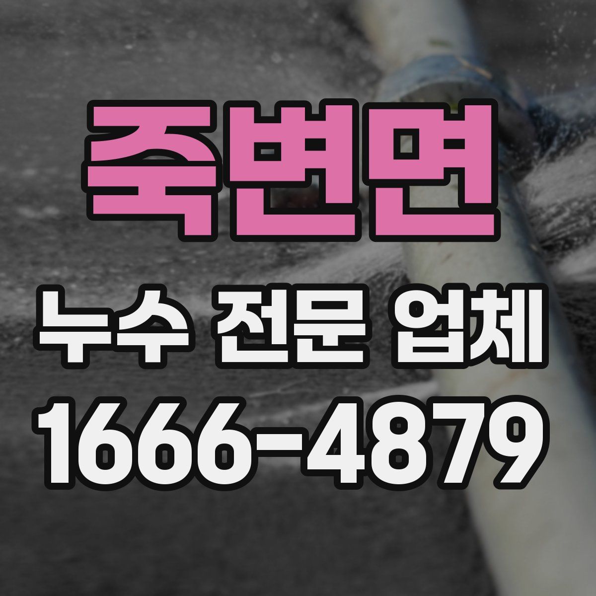 죽변면 누수 전문 업체
