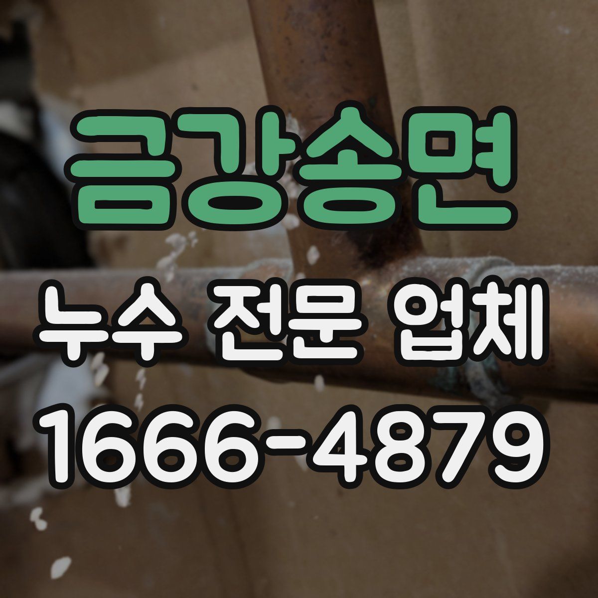 금강송면 누수 전문 업체