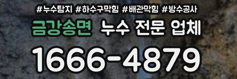 금강송면 누수 전문 업체