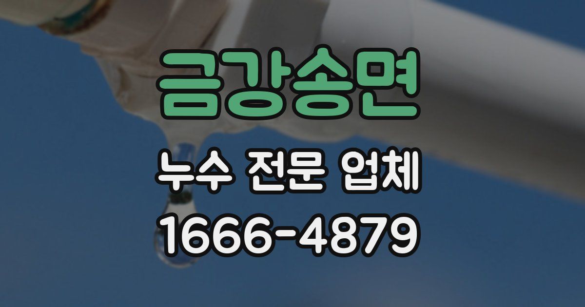 금강송면 누수 전문 업체