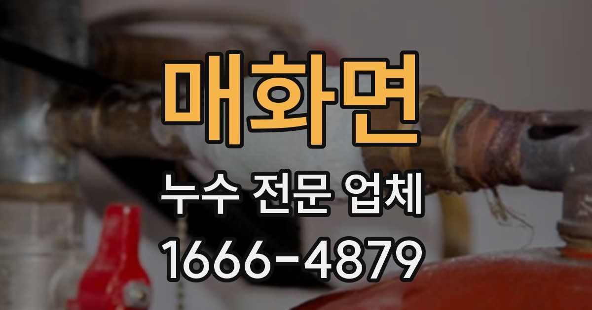 매화면 누수 전문 업체