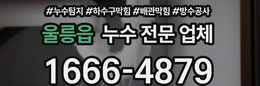 울릉읍 누수 전문 업체