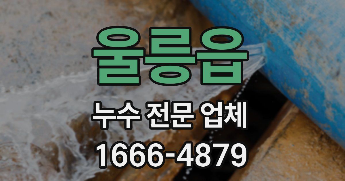 울릉읍 누수 전문 업체