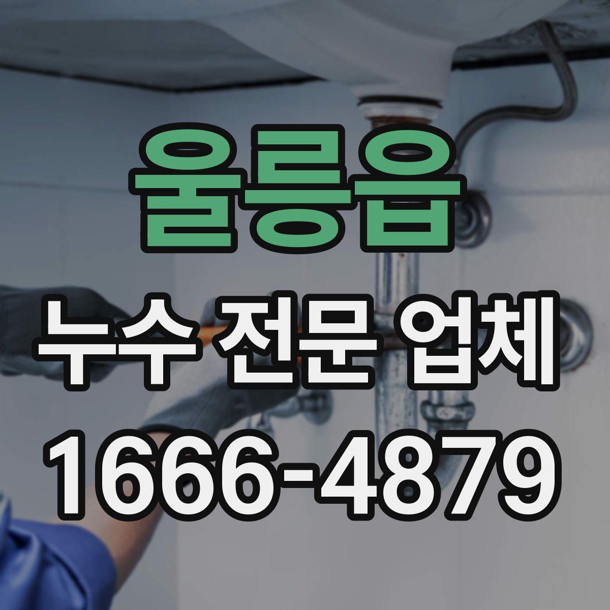 울릉읍 누수 전문 업체