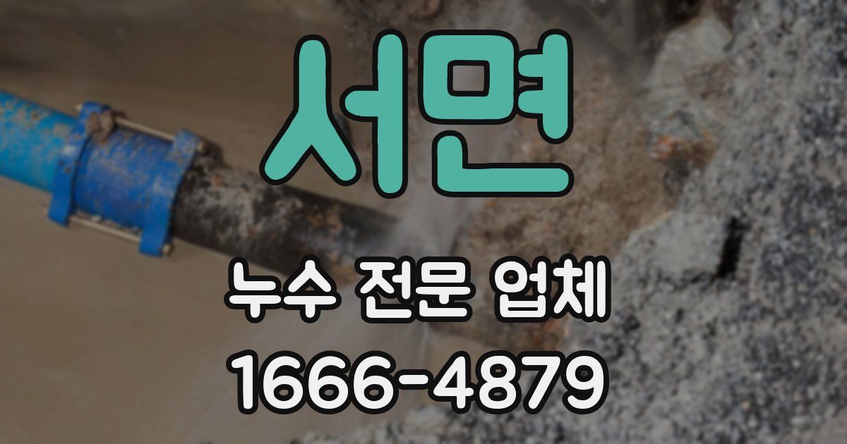 서면 누수 전문 업체
