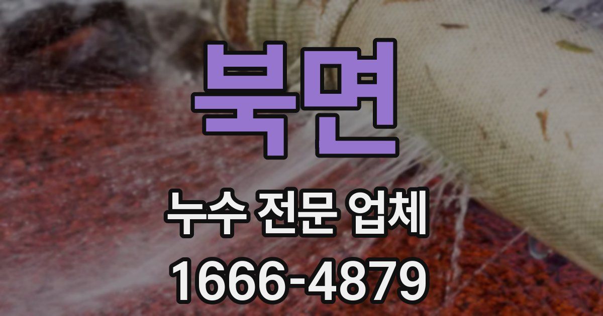 북면 누수 전문 업체