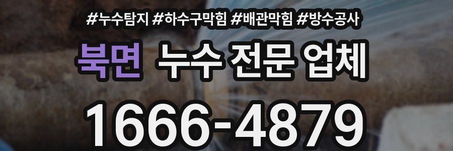 북면 누수 전문 업체