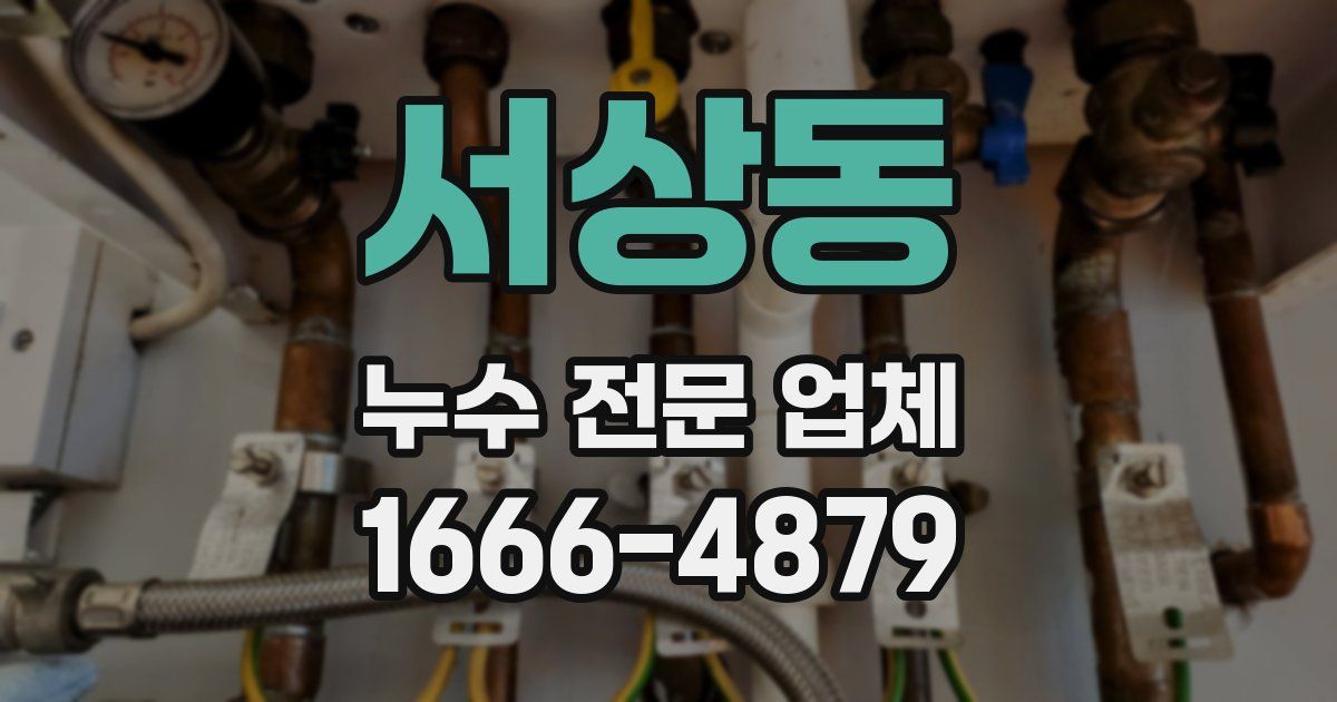 서상동 누수 전문 업체