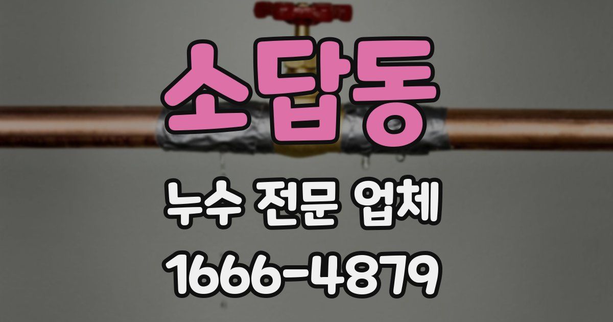 소답동 누수 전문 업체