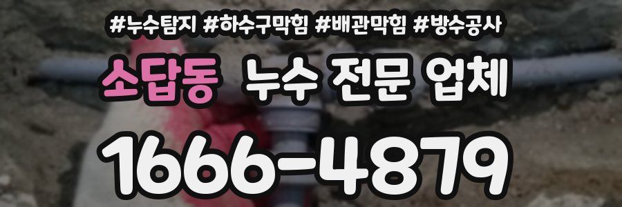 소답동 누수 전문 업체