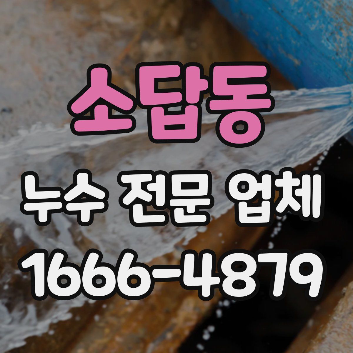 소답동 누수 전문 업체