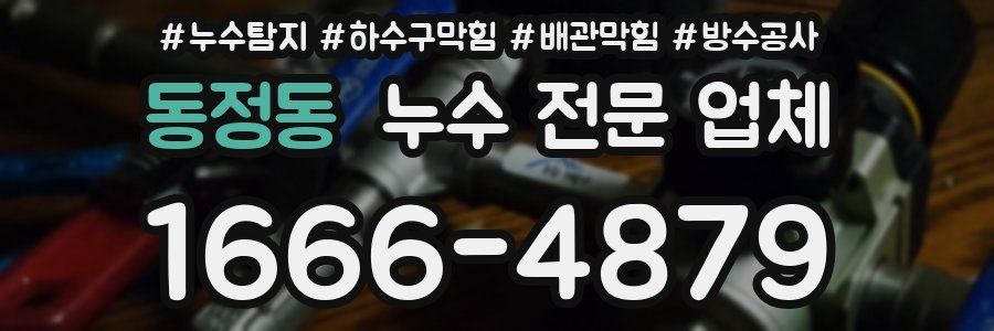동정동 누수 전문 업체