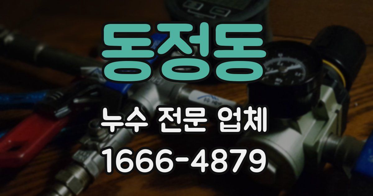 동정동 누수 전문 업체