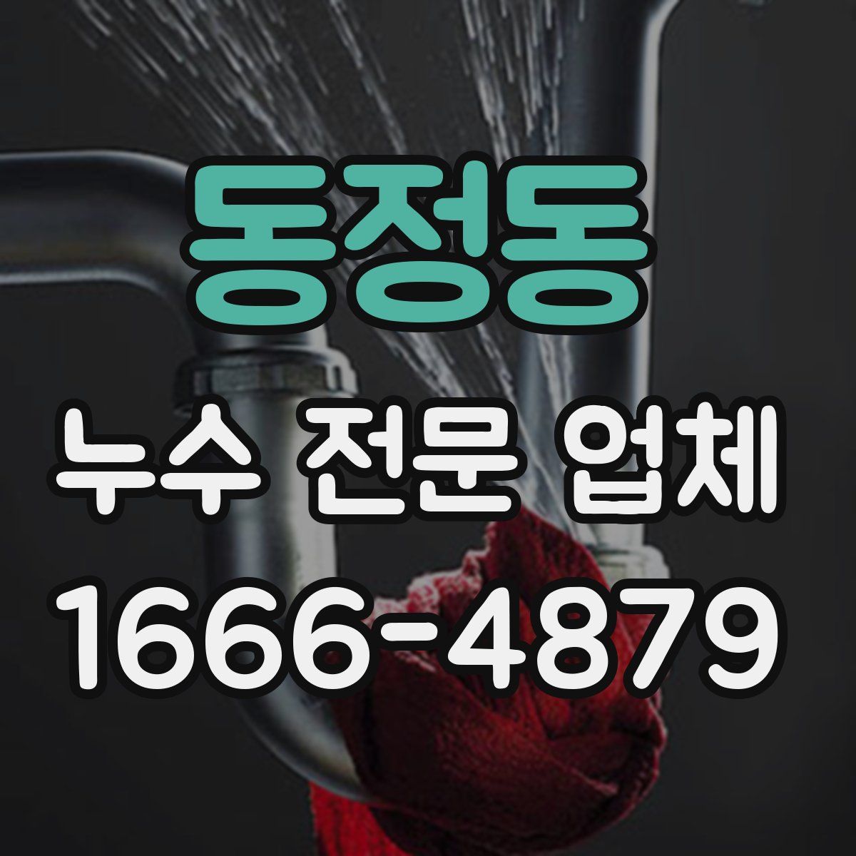동정동 누수 전문 업체