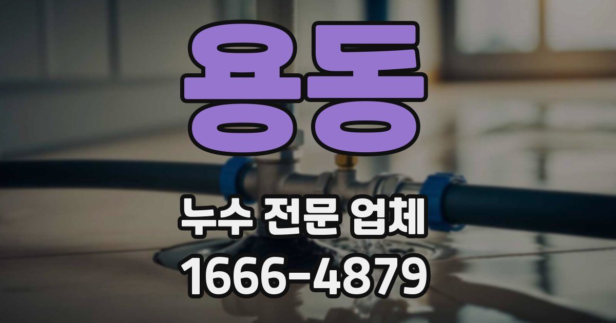 용동 누수 전문 업체
