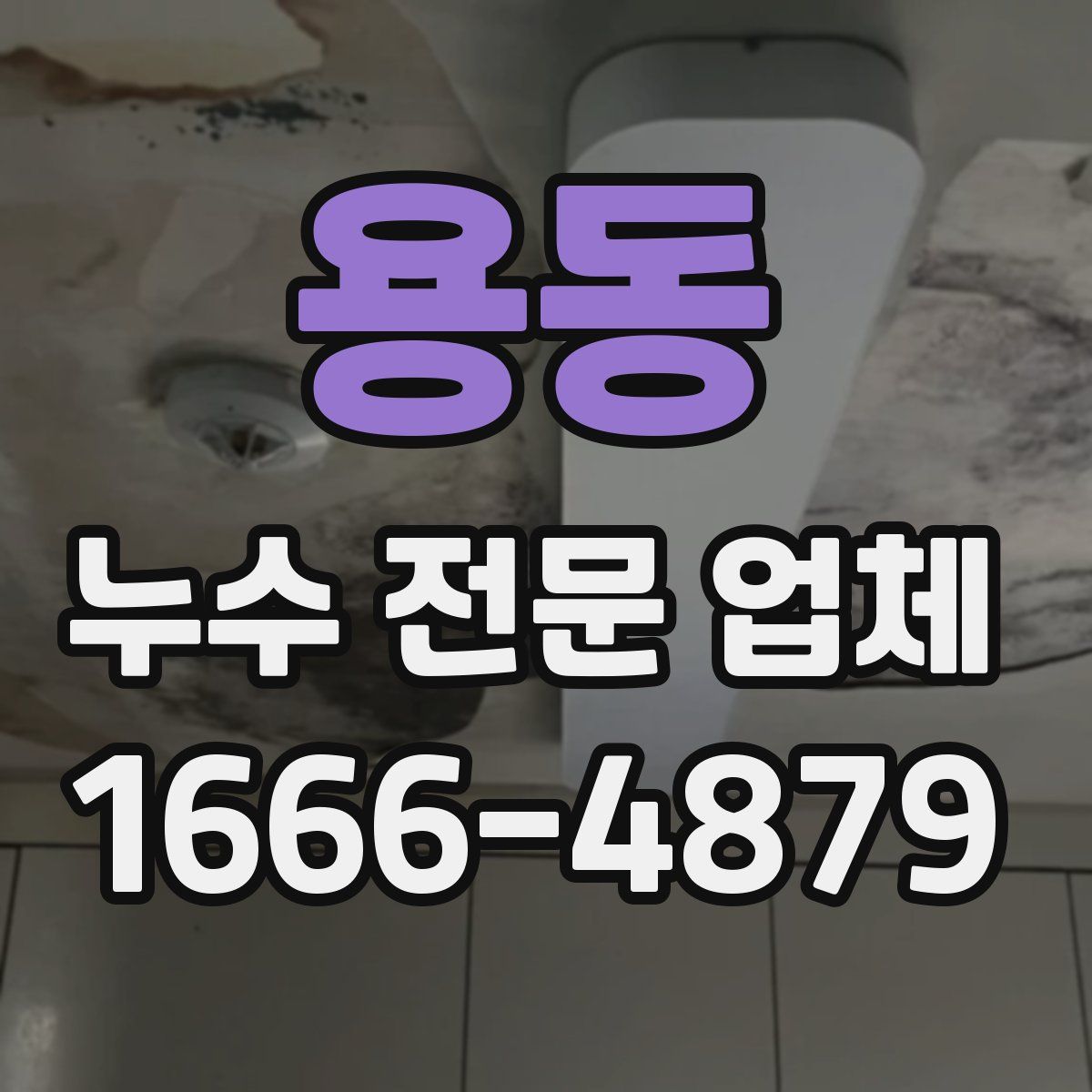 용동 누수 전문 업체