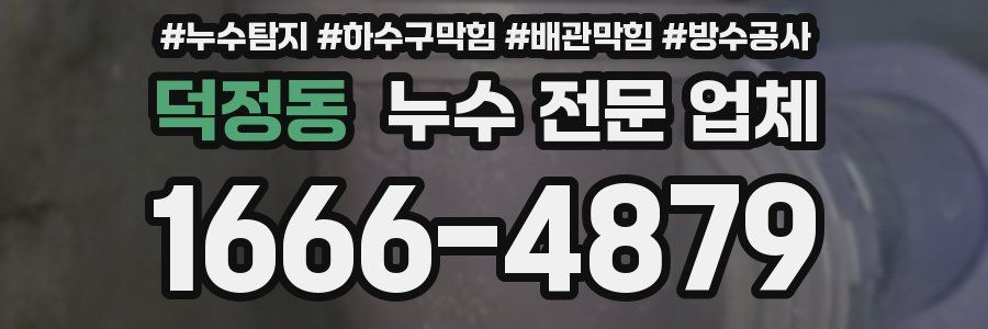 덕정동 누수 전문 업체
