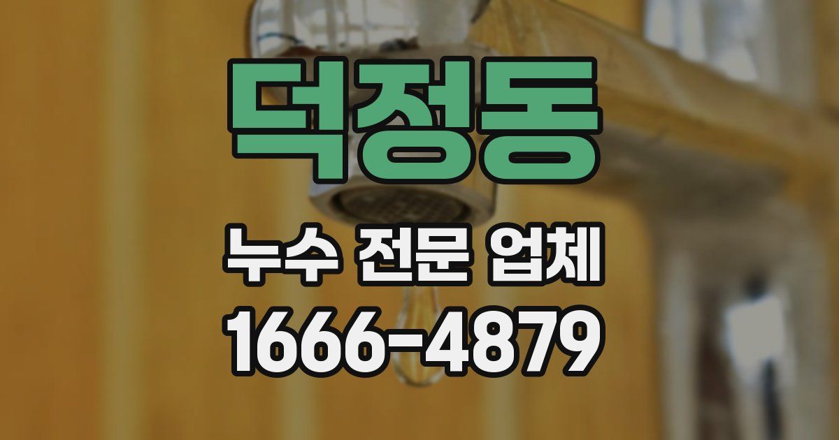 덕정동 누수 전문 업체