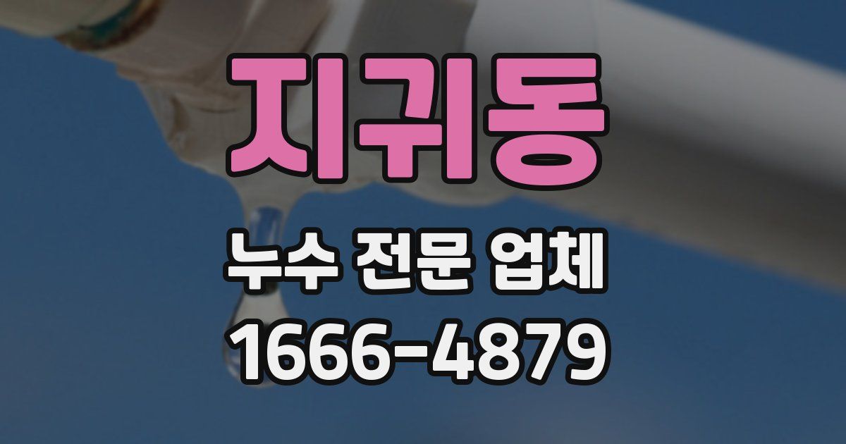 지귀동 누수 전문 업체