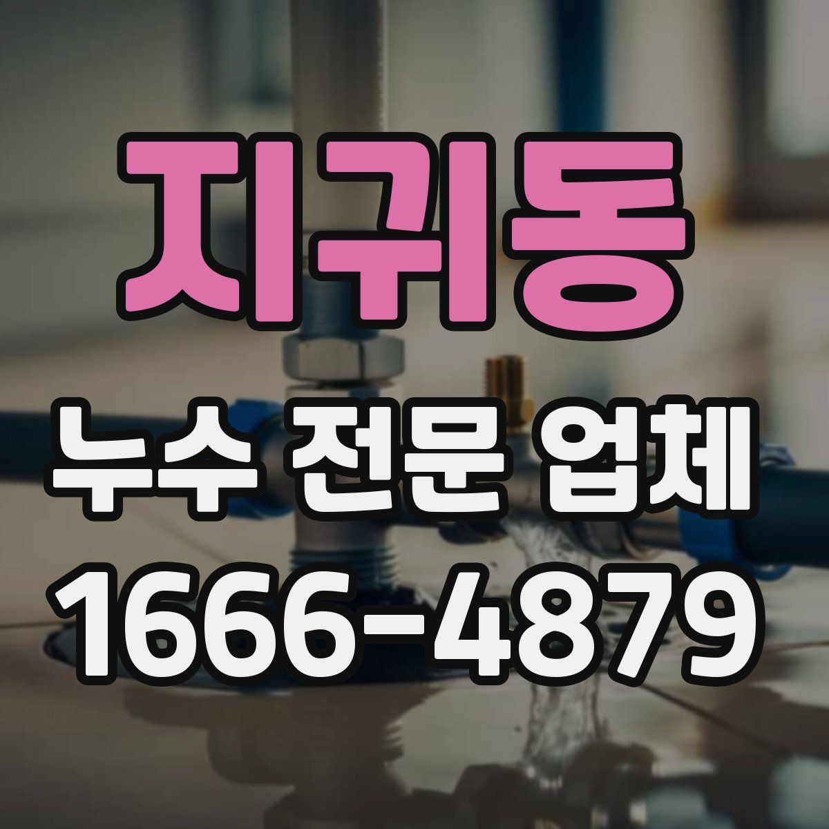 지귀동 누수 전문 업체