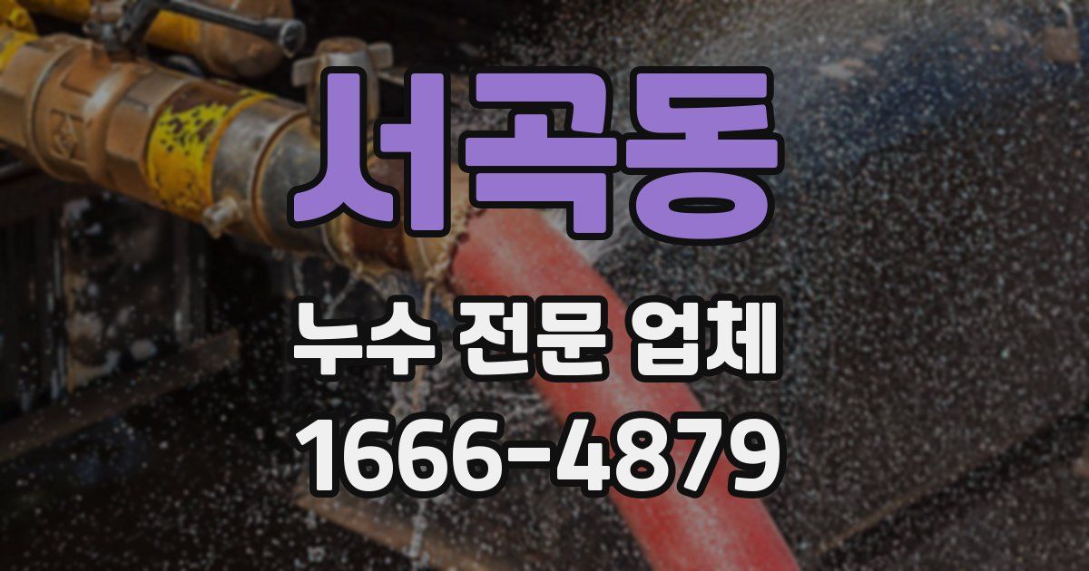 서곡동 누수 전문 업체