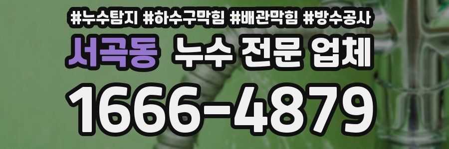 서곡동 누수 전문 업체