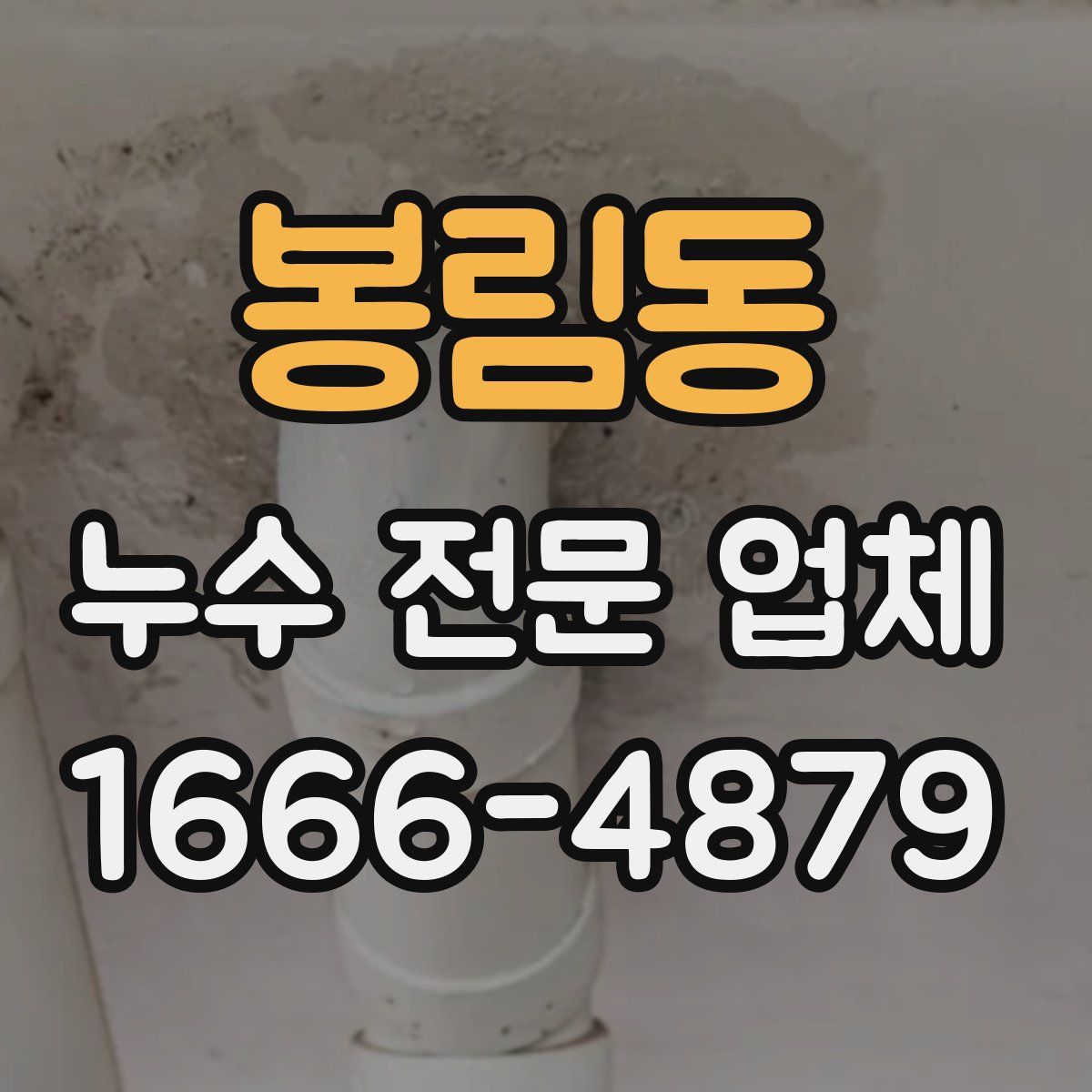 봉림동 누수 전문 업체