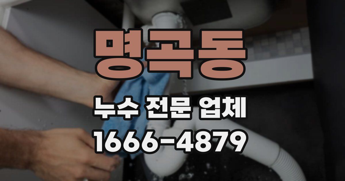 명곡동 누수 전문 업체