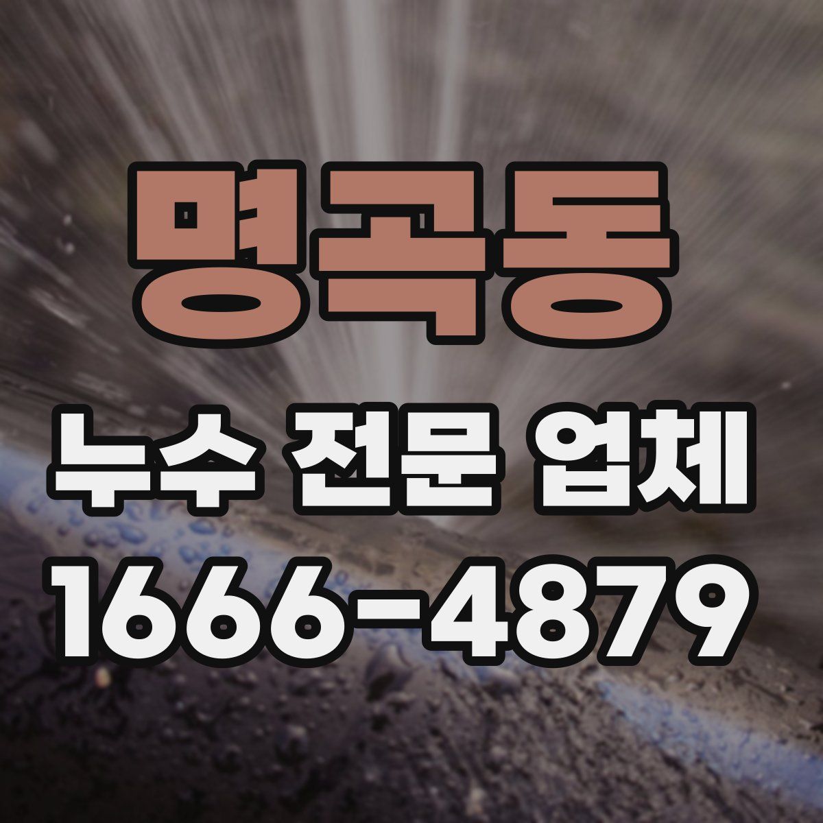 명곡동 누수 전문 업체