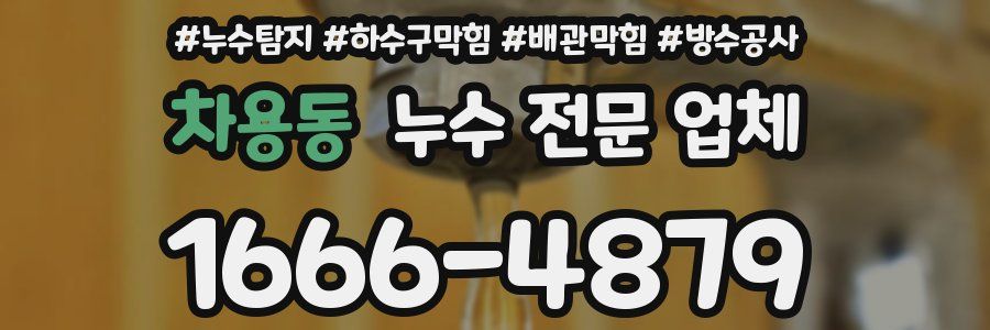 차용동 누수 전문 업체