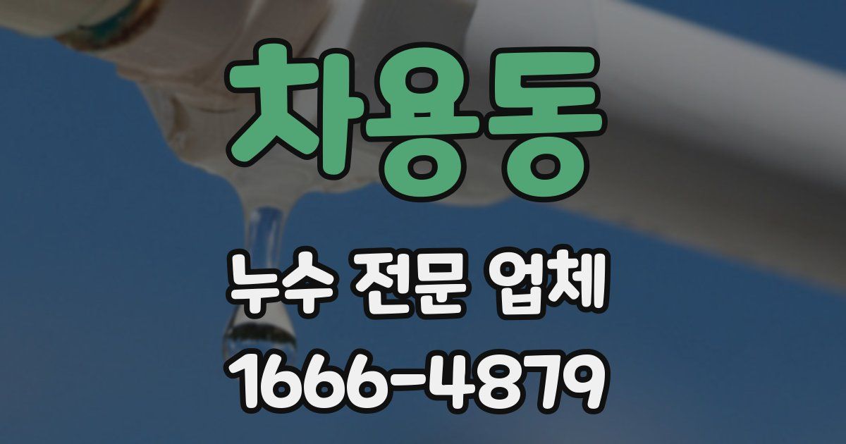 차용동 누수 전문 업체