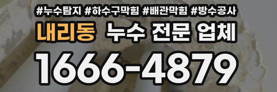 내리동 누수 전문 업체