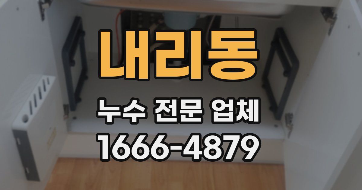 내리동 누수 전문 업체