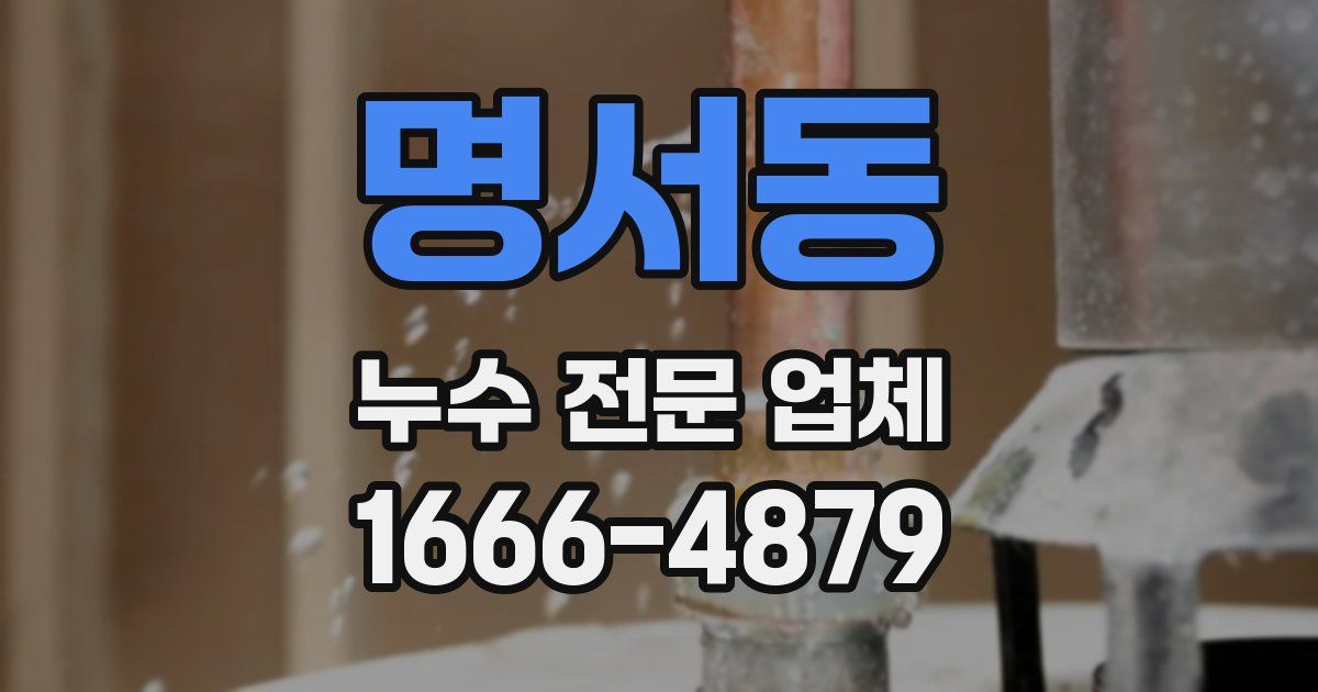명서동 누수 전문 업체