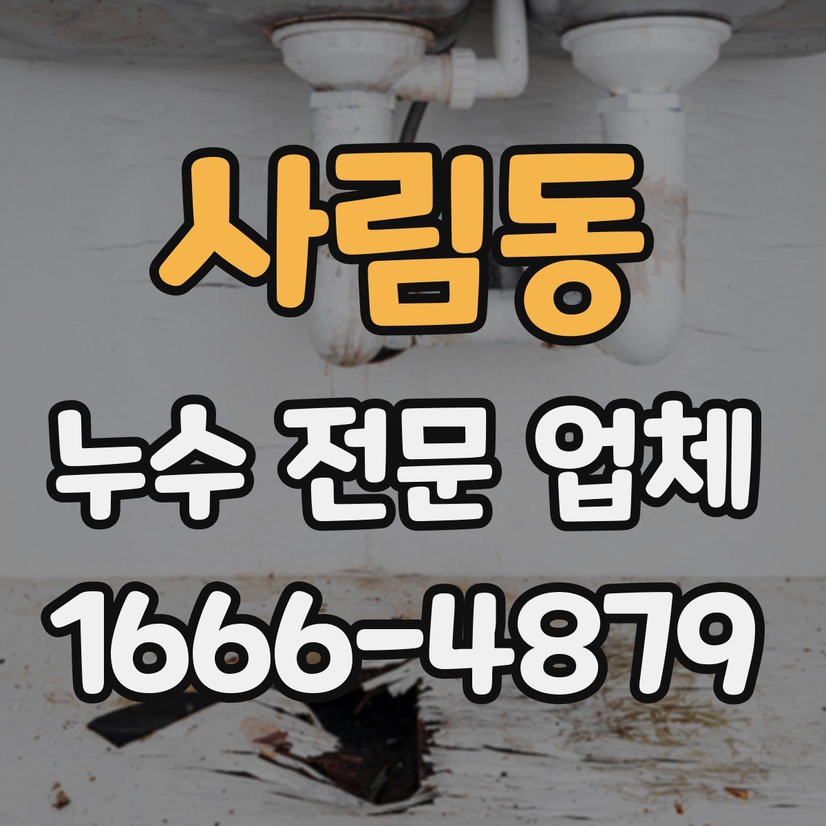 사림동 누수 전문 업체